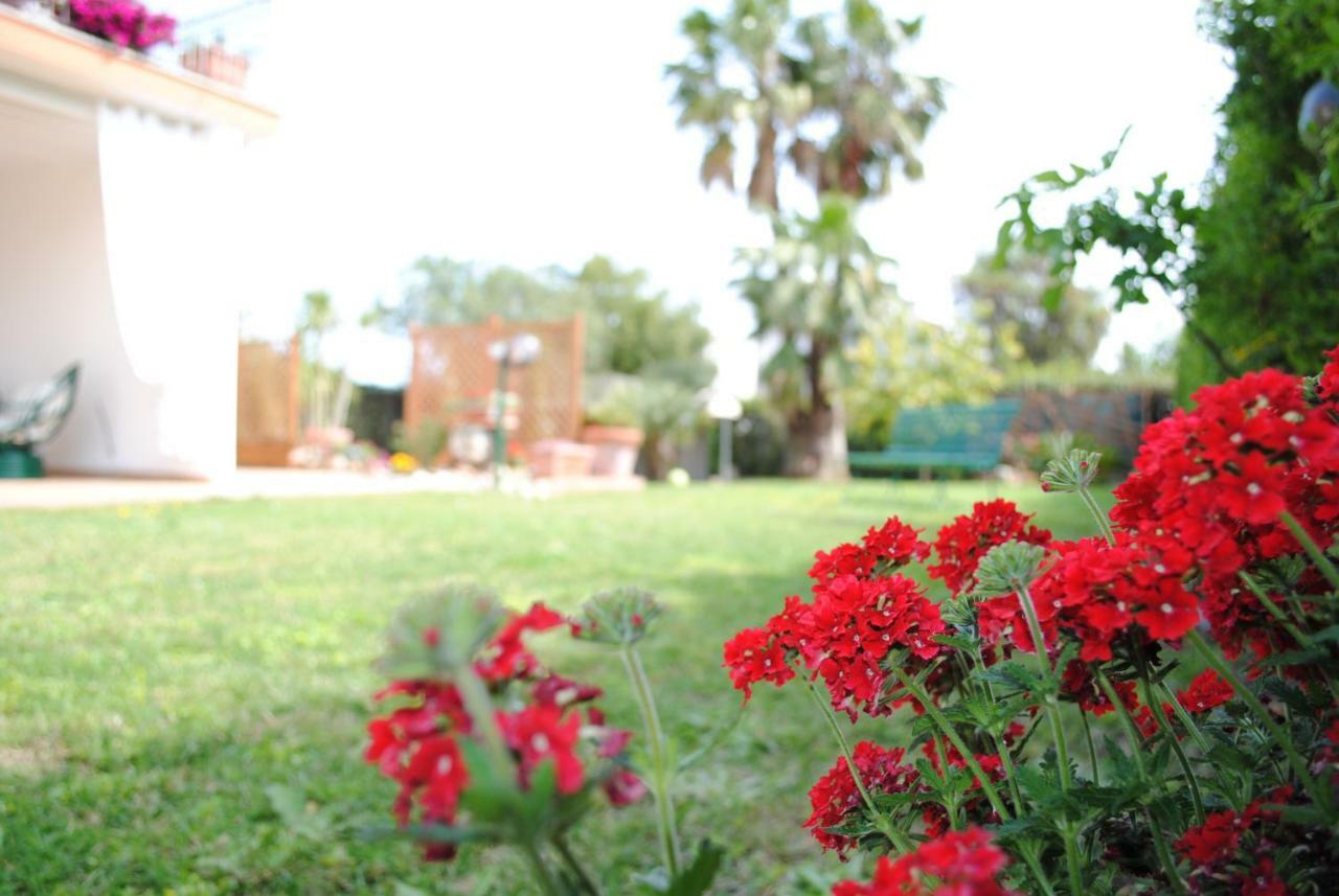 Villa Regina B&B Неттуно Экстерьер фото